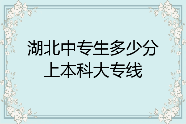湖北中专生多少分上本科大专线