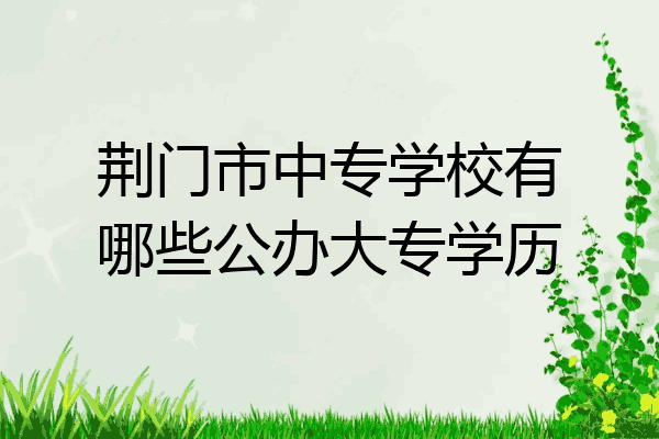 荆门市中专学校有哪些公办大专学历