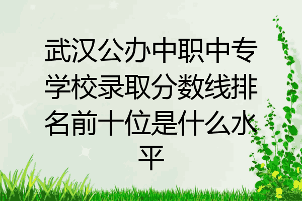 武汉公办中职中专学校录取分数线排名前十位是什么水平