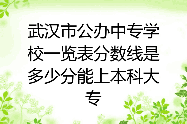 武汉市公办中专学校一览表分数线是多少分能上本科大专