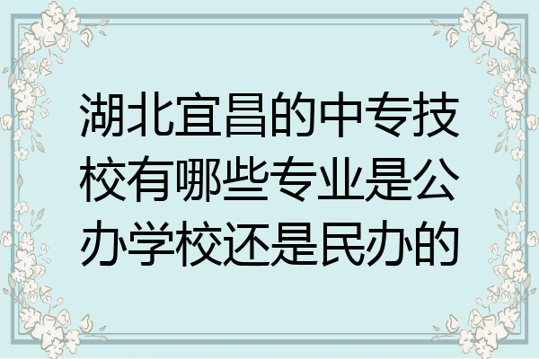 湖北宜昌的中专技校有哪些专业是公办学校还是民办的