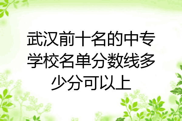 武汉前十名的中专学校名单分数线多少分可以上