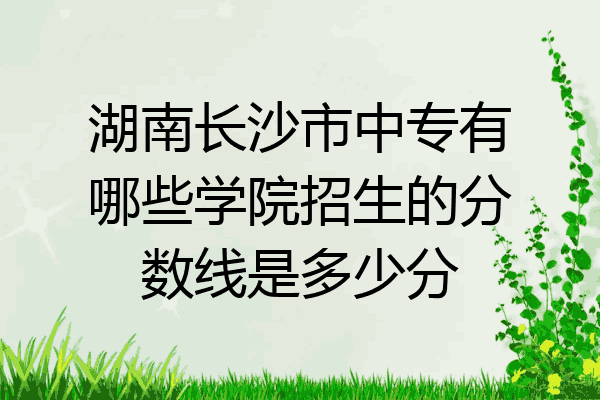 湖南长沙市中专有哪些学院招生的分数线是多少分