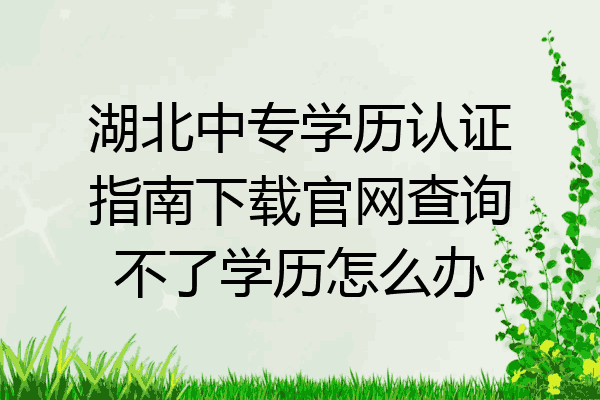 湖北中专学历认证指南下载官网查询不了学历怎么办