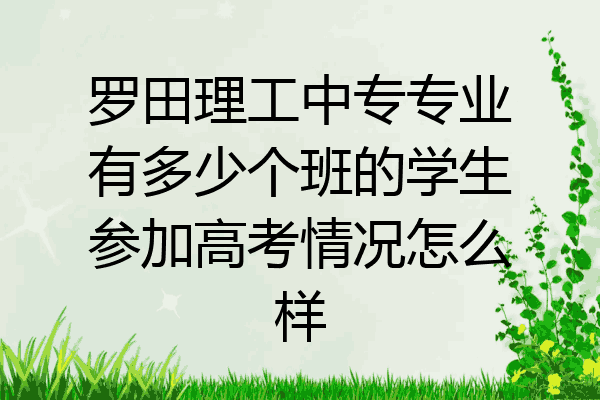 罗田理工中专专业有多少个班的学生参加高考情况怎么样