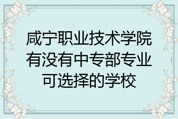 咸宁职业技术学院有没有中专部专业可选择的学校