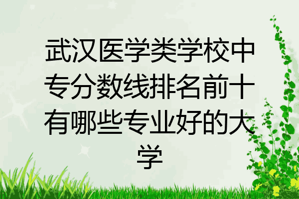 武汉医学类学校中专分数线排名前十有哪些专业好的大学