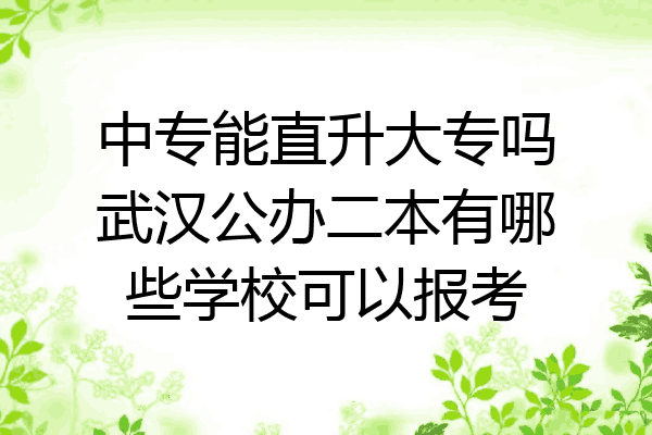 中专能直升大专吗武汉公办二本有哪些学校可以报考