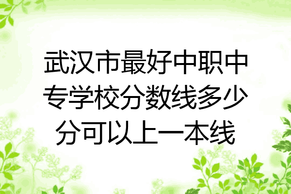 武汉市最好中职中专学校分数线多少分可以上一本线
