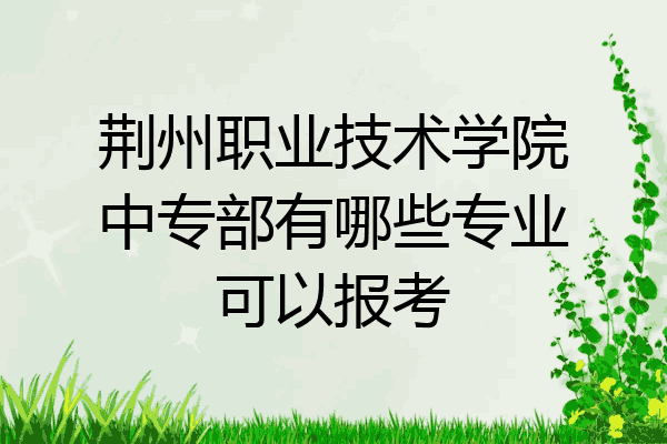 荆州职业技术学院中专部有哪些专业可以报考