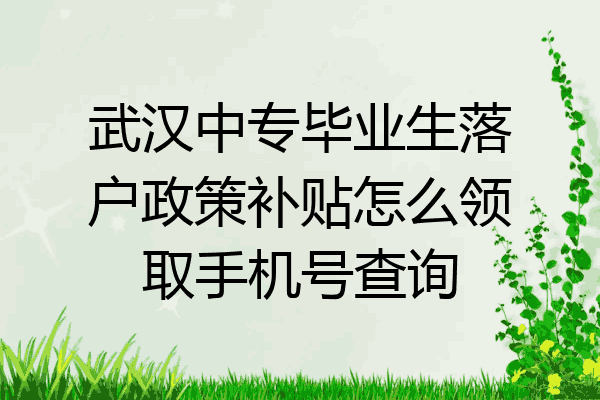 武汉中专毕业生落户政策补贴怎么领取手机号查询