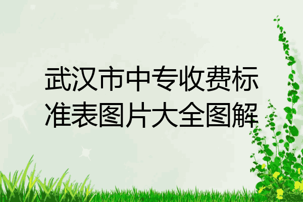 武汉市中专收费标准表图片大全图解