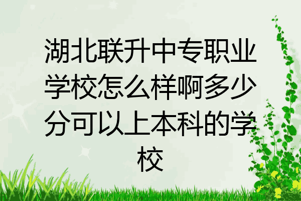 湖北联升中专职业学校怎么样啊多少分可以上本科的学校