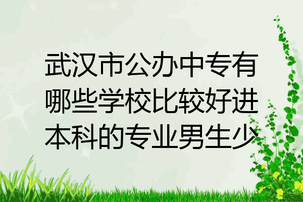 武汉市公办中专有哪些学校比较好进本科的专业男生少
