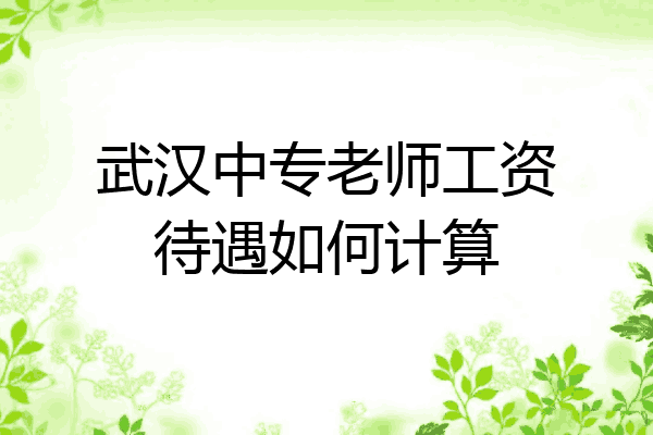武汉中专老师工资待遇如何计算