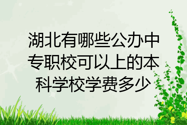 湖北有哪些公办中专职校可以上的本科学校学费多少
