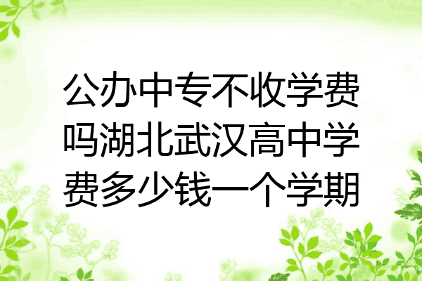 公办中专不收学费吗湖北武汉高中学费多少钱一个学期