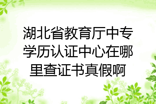 湖北省教育厅中专学历认证中心在哪里查证书真假啊
