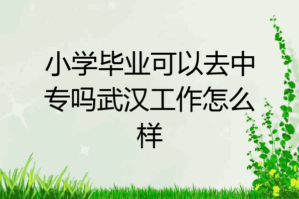 小学毕业可以去中专吗武汉工作怎么样