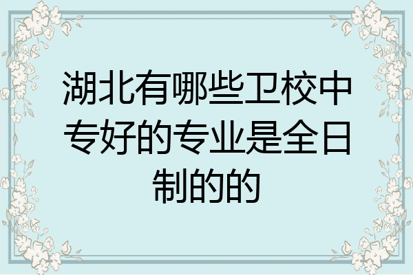 湖北有哪些卫校中专好的专业是全日制的的