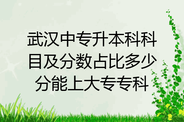 武汉中专升本科科目及分数占比多少分能上大专专科