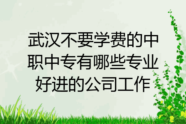 武汉不要学费的中职中专有哪些专业好进的公司工作