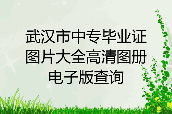 武汉市中专毕业证图片大全高清图册电子版查询