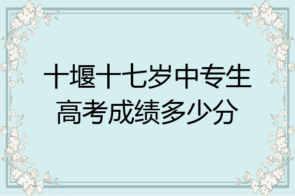 十堰十七岁中专生高考成绩多少分