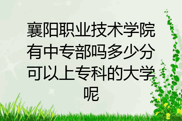 襄阳职业技术学院有中专部吗多少分可以上专科的大学呢