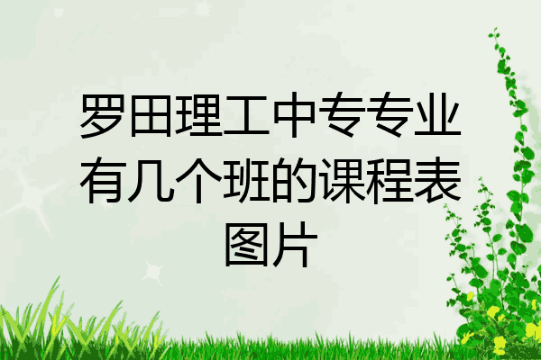 罗田理工中专专业有几个班的课程表图片