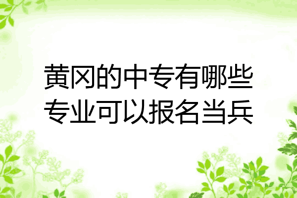 黄冈的中专有哪些专业可以报名当兵
