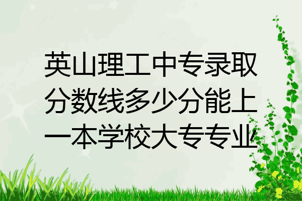 英山理工中专录取分数线多少分能上一本学校大专专业
