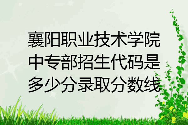 襄阳职业技术学院中专部招生代码是多少分录取分数线