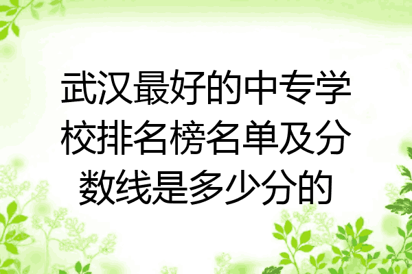 武汉最好的中专学校排名榜名单及分数线是多少分的