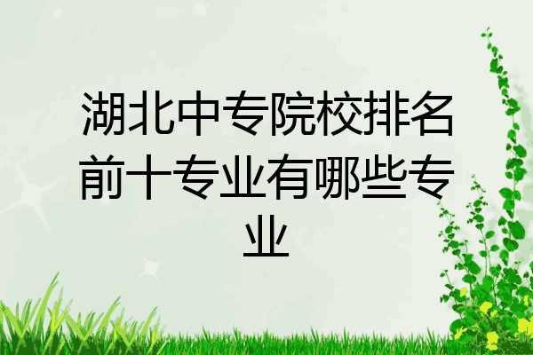 湖北中专院校排名前十专业有哪些专业