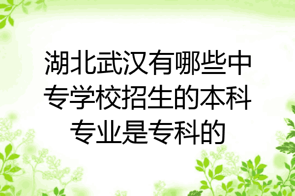 湖北武汉有哪些中专学校招生的本科专业是专科的
