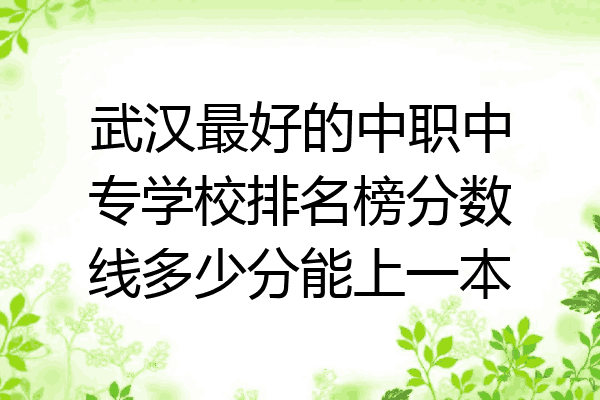 武汉最好的中职中专学校排名榜分数线多少分能上一本