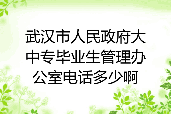 武汉市人民政府大中专毕业生管理办公室电话多少啊