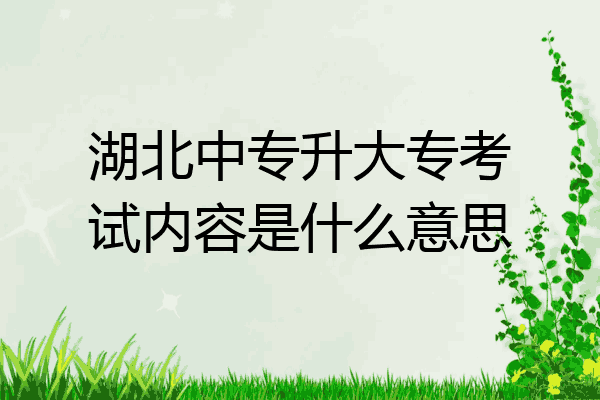 湖北中专升大专考试内容是什么意思