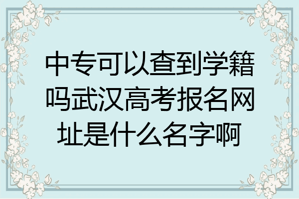 中专可以查到学籍吗武汉高考报名网址是什么名字啊