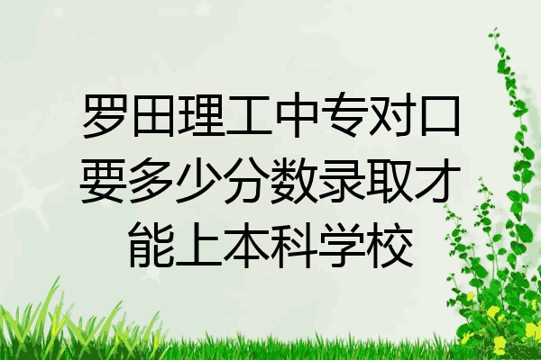 罗田理工中专对口要多少分数录取才能上本科学校