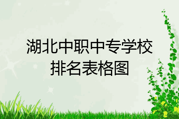 湖北中职中专学校排名表格图