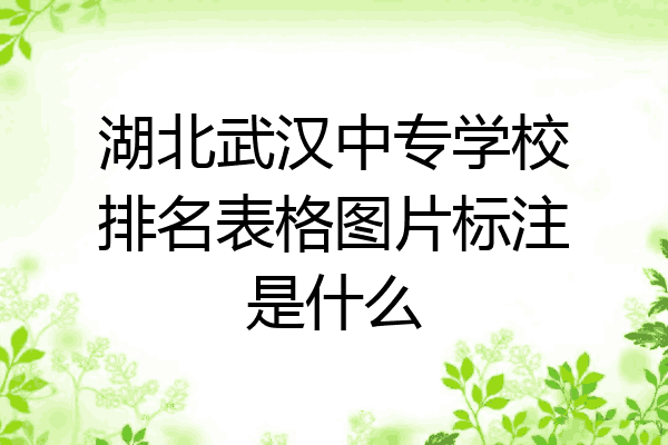 湖北武汉中专学校排名表格图片标注是什么