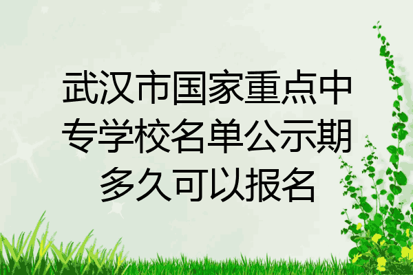武汉市国家重点中专学校名单公示期多久可以报名
