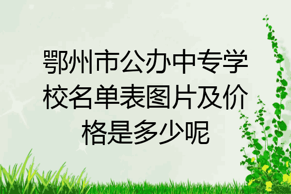 鄂州市公办中专学校名单表图片及价格是多少呢