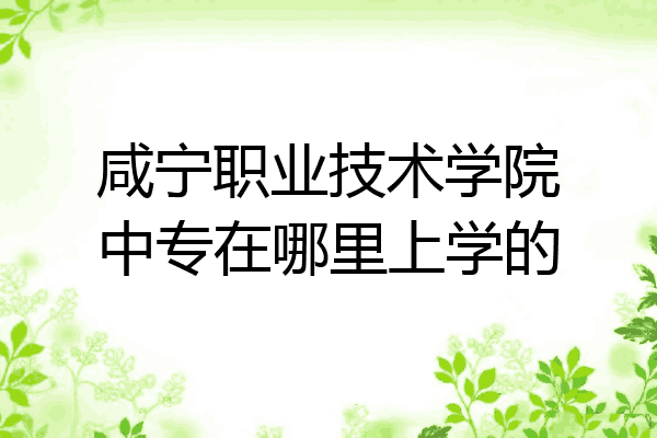 咸宁职业技术学院中专在哪里上学的
