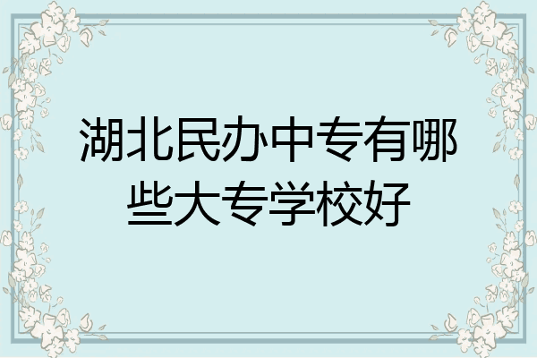 湖北民办中专有哪些大专学校好