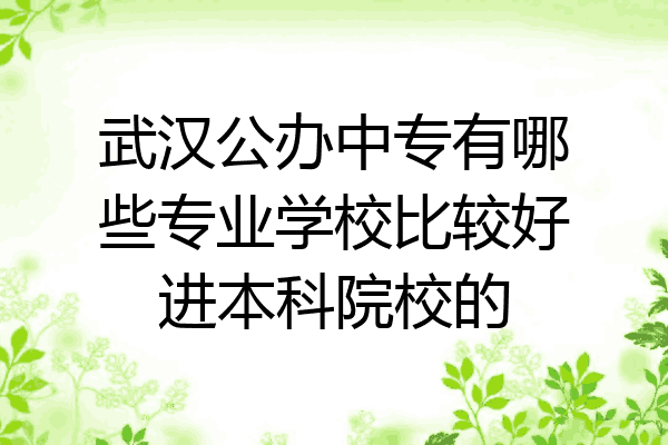 武汉公办中专有哪些专业学校比较好进本科院校的