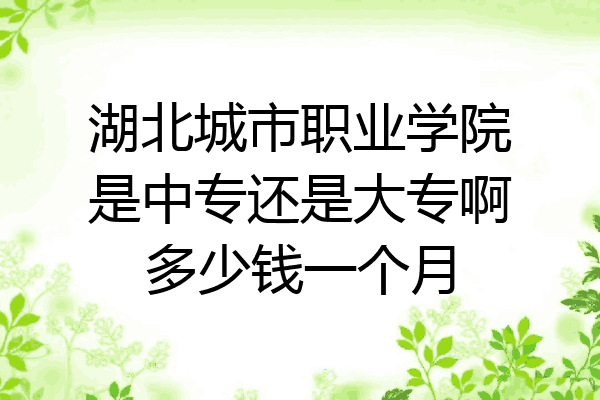 湖北城市职业学院是中专还是大专啊多少钱一个月