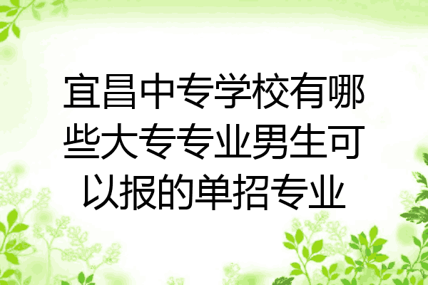宜昌中专学校有哪些大专专业男生可以报的单招专业